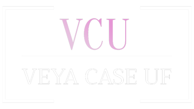 Veyacase Logo